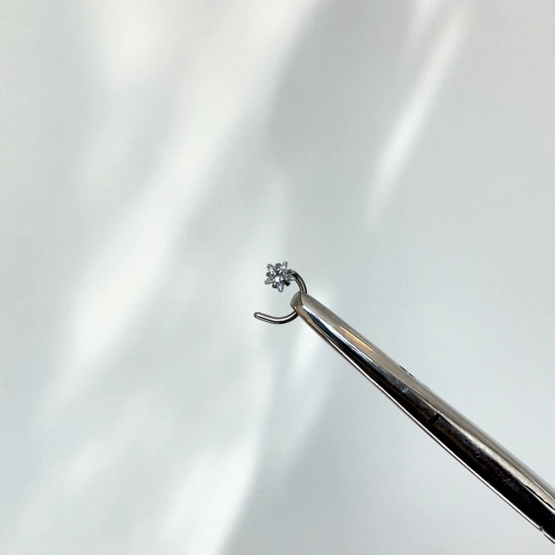 The Nose Studs