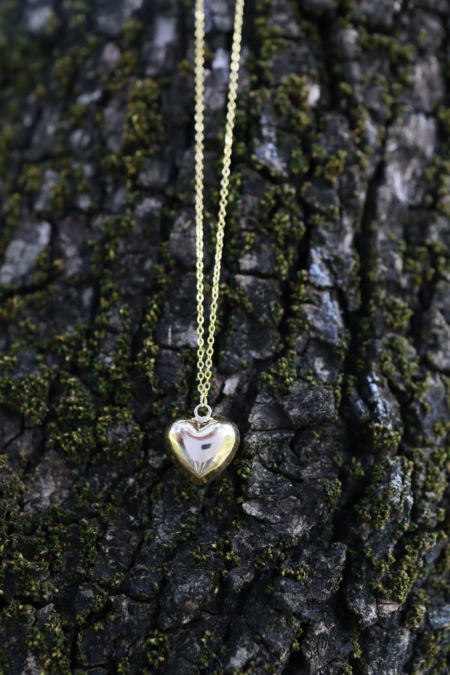 The Lighthearted - Gold plated necklace