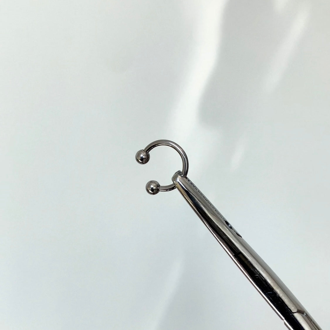 The Horseshoe Hoop